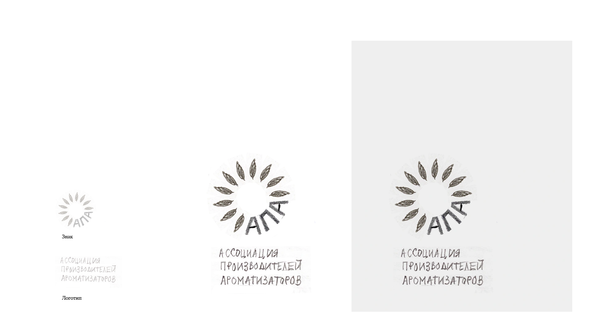 Original pencil sketches showing the sunflower head transformed into a circular APA logo, with petals and Cyrillic initials