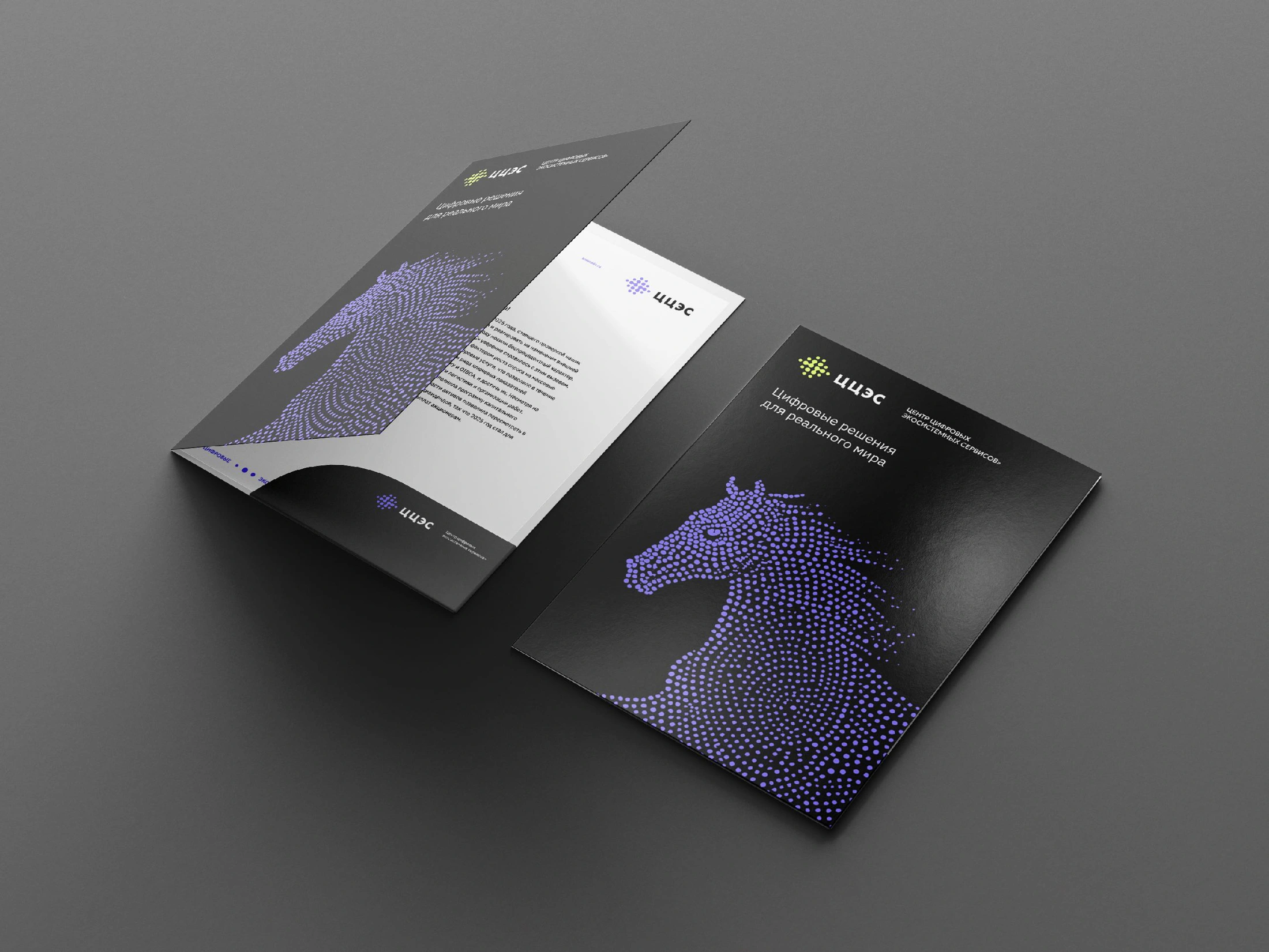 Original approved folder design featuring the violet point-based horse