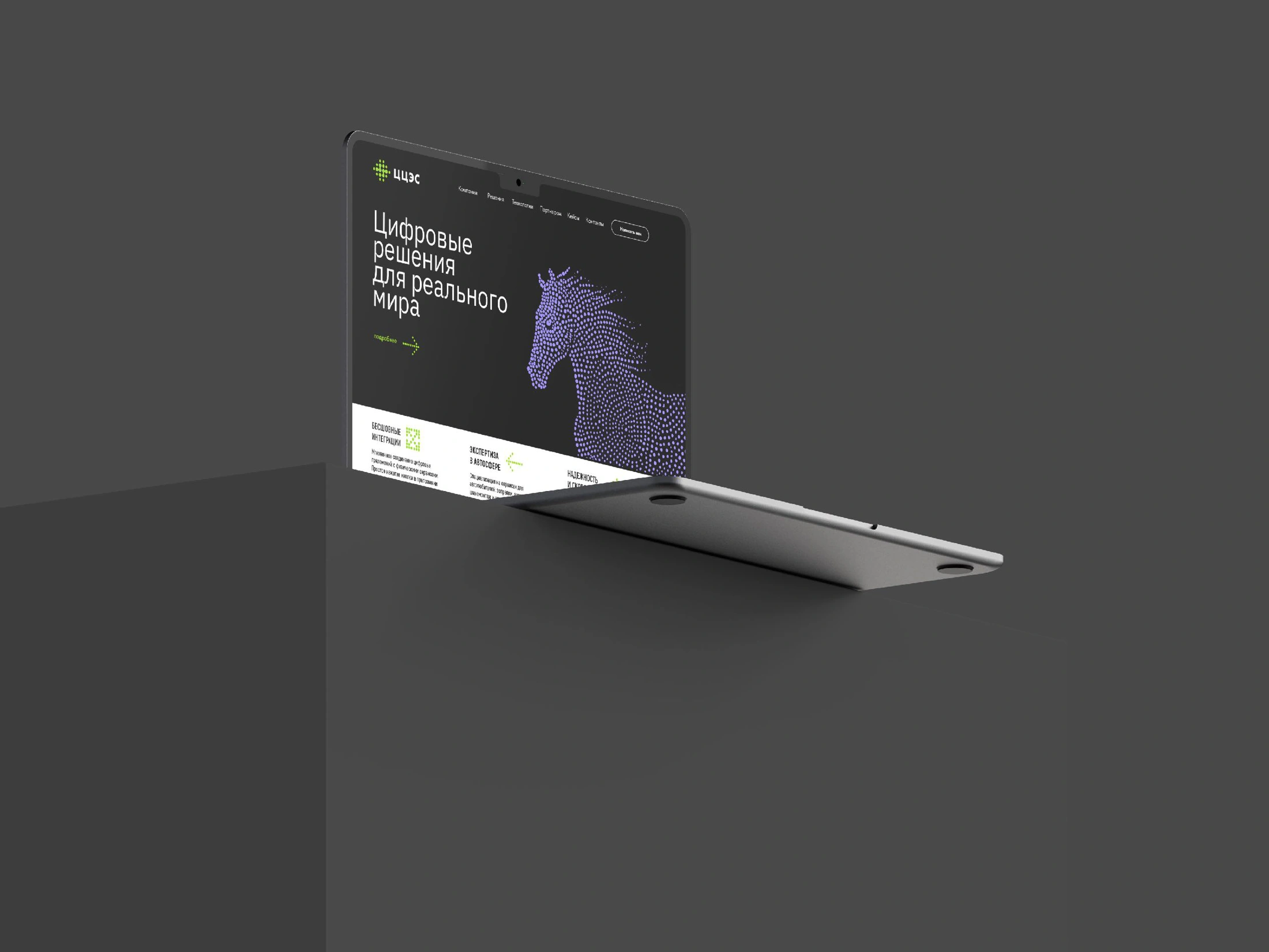 Original laptop presentation of the CCES website concept with violet point horse