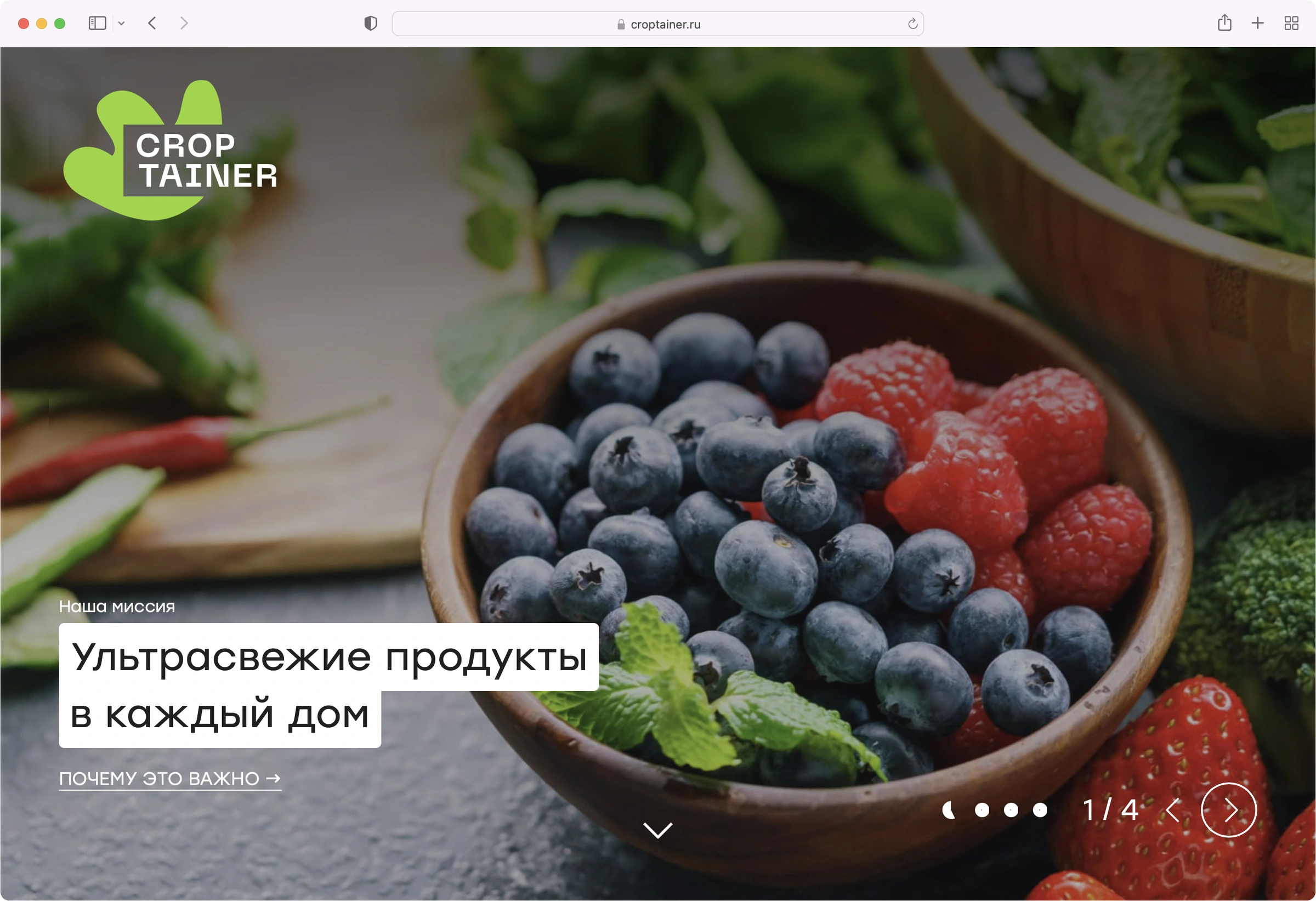Original Croptainer website concept with fresh berries and a graphic leaf logo