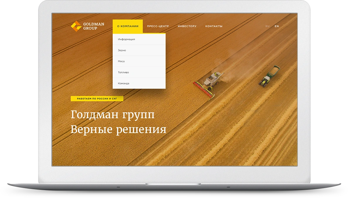 Goldman Group original Website presentation