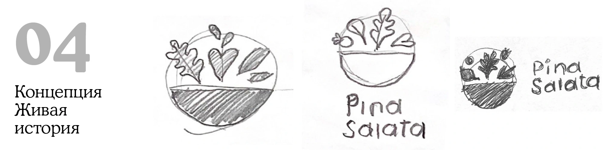 Pina Salata original sketches: 04 / A living bowl.