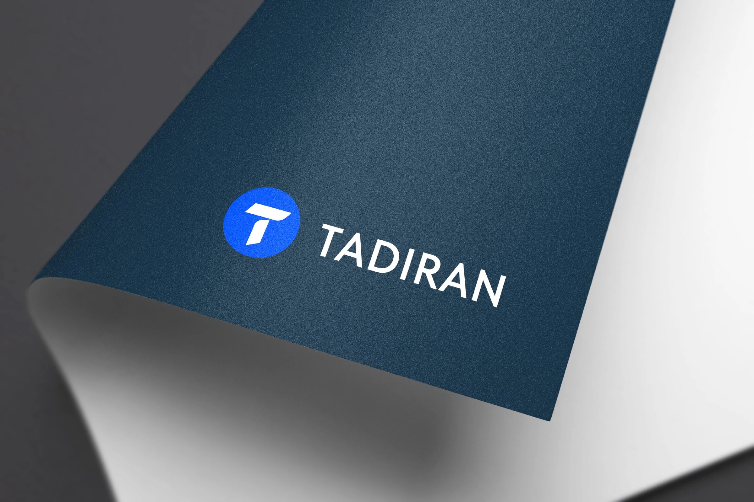 Tadiran: adapted Brenda Studio brand strategy · visual identity · applications project